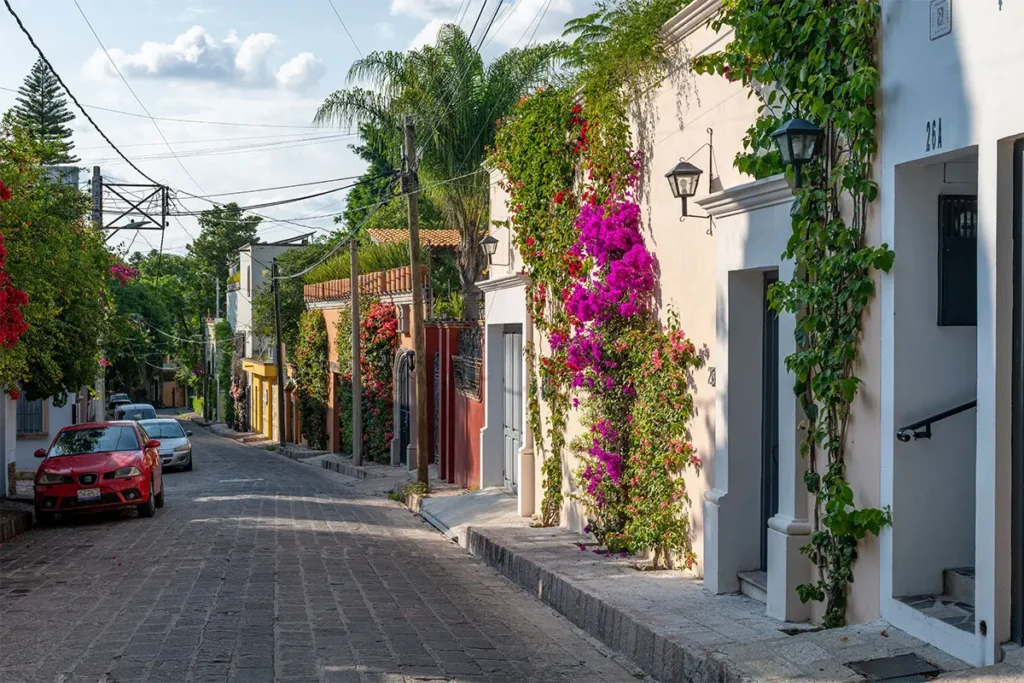 Quiet residential street with flowering homes in Guadiana San Miguel de Allende