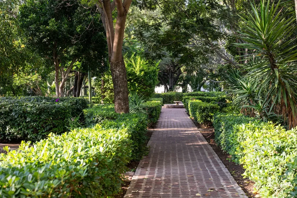 Landscaped walkway through Parque Guadiana San Miguel de Allende with shade trees